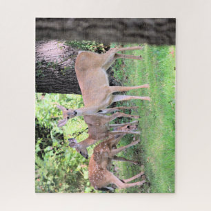 Deer Jigsaw Puzzle