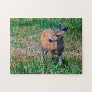Deer - jigsaw puzzle