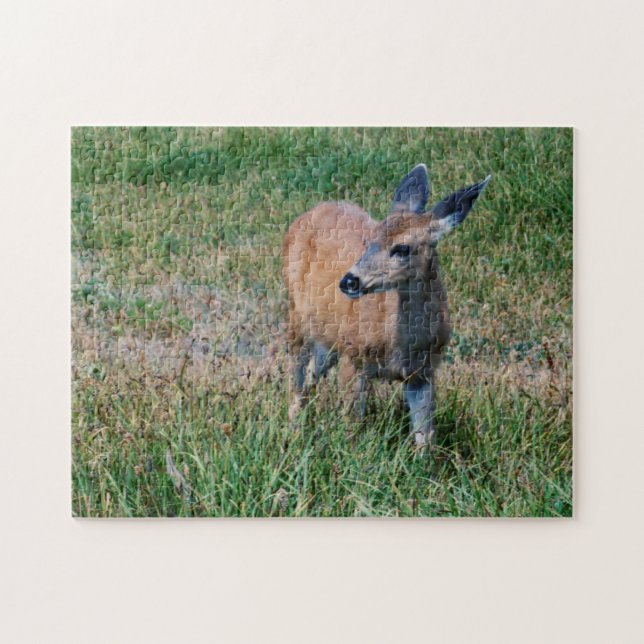 Deer -  jigsaw puzzle (Horizontal)