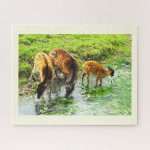 Deer Jigsaw Puzzle