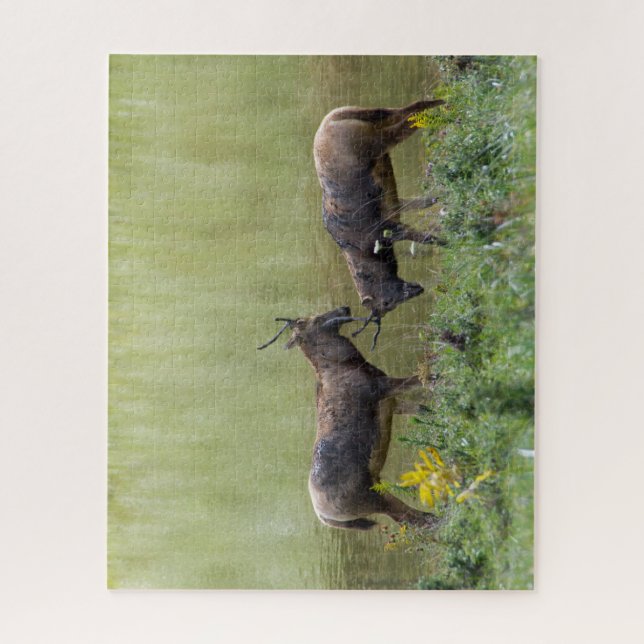 Deer Jigsaw Puzzle (Vertical)