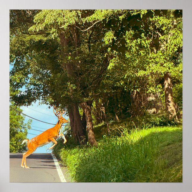 Deer Jumping Photo Poster (Front)