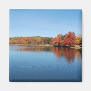 Deer Lake Magnet