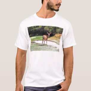 deer looking at the camera nature T-Shirt