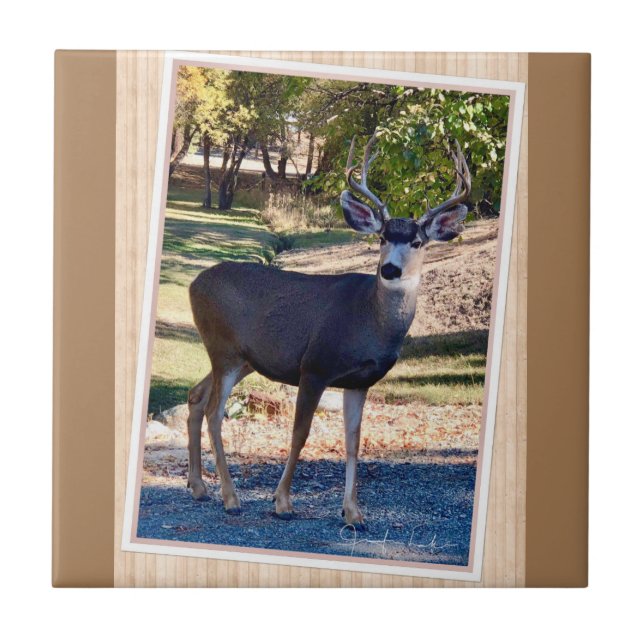 Deer Love Ceramic Tile (Front)