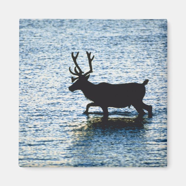 Deer Magnet (Front)