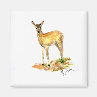 Deer Magnet