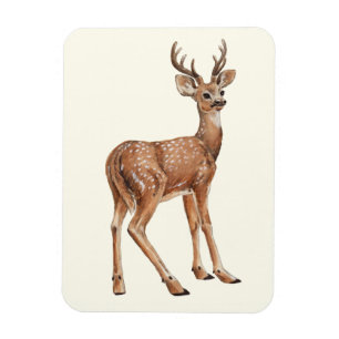 Deer Magnet