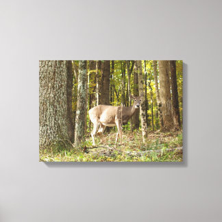 Deer Me Canvas Print