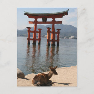 deer miyajima postcard