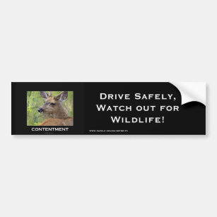 Deer Motivational Gifts Bumper Sticker