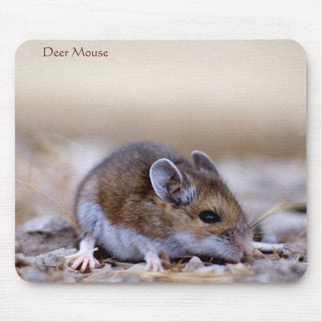 Deer Mouse on a Mousepad (Front)