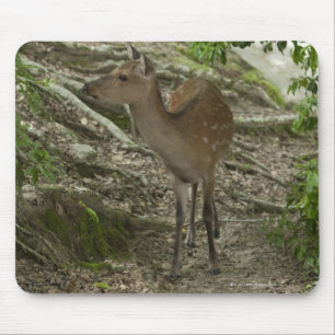 Deer Mouse Pad