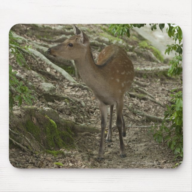 Deer Mouse Pad (Front)