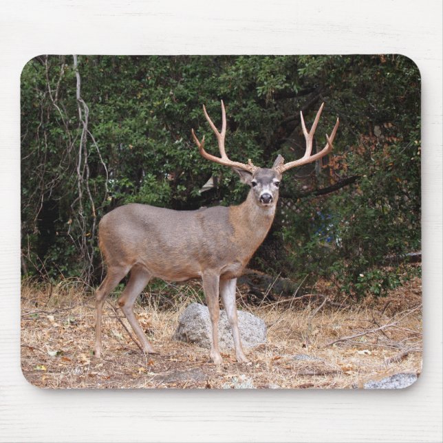 Deer Mousepad (Front)