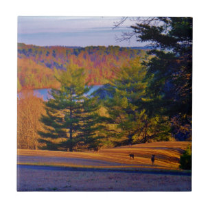 Deer & Mt. Lake Tile