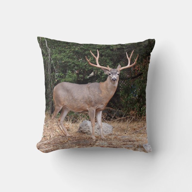 Deer on a Pillow (Front)