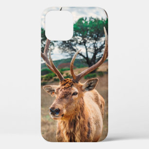 DEER ON BROWN GRASS FIELD UNDER GRAY CLOUDY SKY iPhone 12 CASE