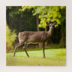 Deer on Golf Course Jigsaw Puzzle
