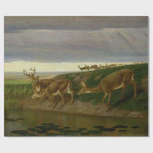 Deer on the Prairie (by William Holbrook Beard) Wrapping Paper