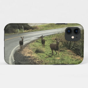 Deer on the Road, Cape Disappointment, WA iPhone 11 Case