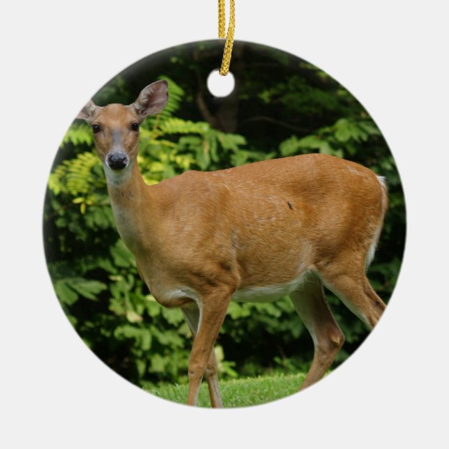 Deer Ornament (Front)