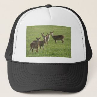 Deer Paradise Trucker Hat