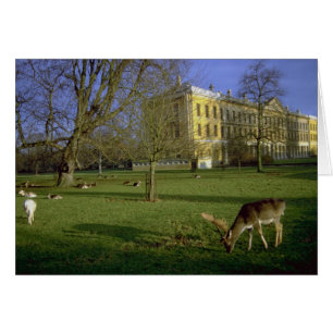 Deer park, Magdalen College, Oxford, U.K.