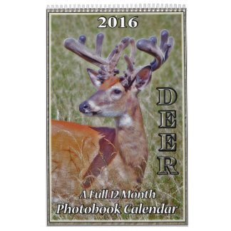 Deer Photo Book Calendar2 Calendar