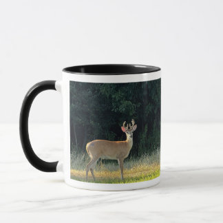 Deer Photo Mug