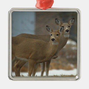 Deer Photo Ornament