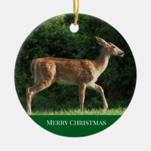 Deer Photo Ornament
