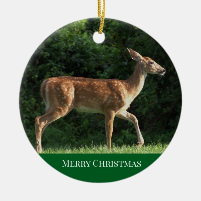 Deer Photo Ornament (Front)