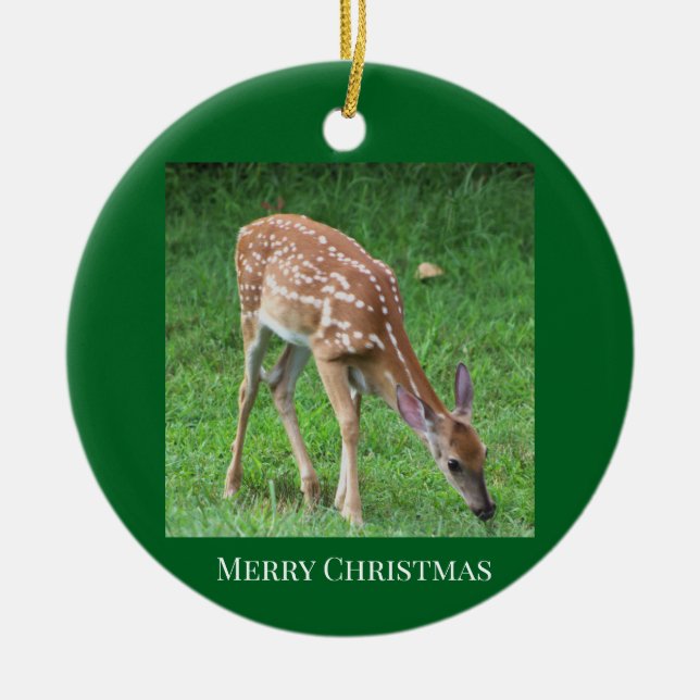 Deer Photo Ornament (Front)