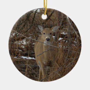 Deer Photo Ornament