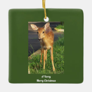 Deer Photo Ornament