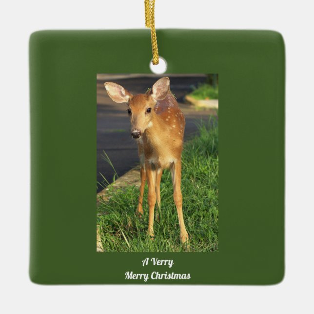 Deer Photo Ornament (Front)