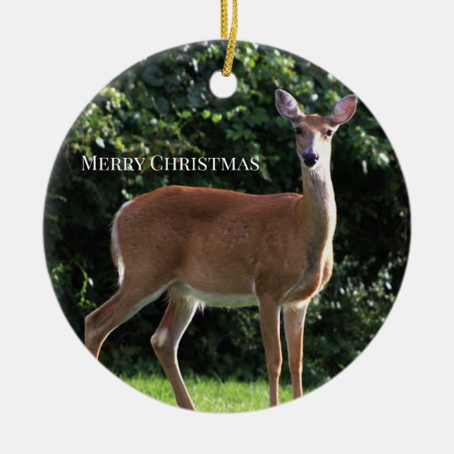 Deer Photo Ornament (Front)
