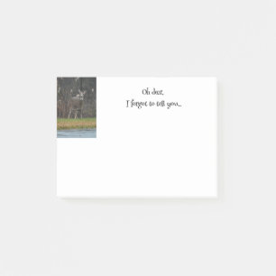 Deer Photo Reminder  Post-it Notes