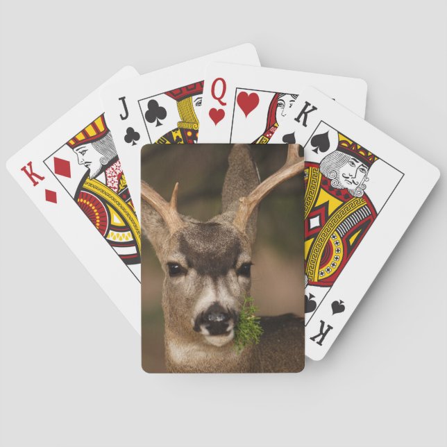 deer playing cards (Back)