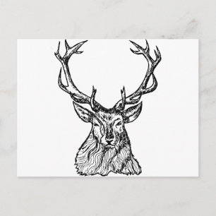 Deer Postcard