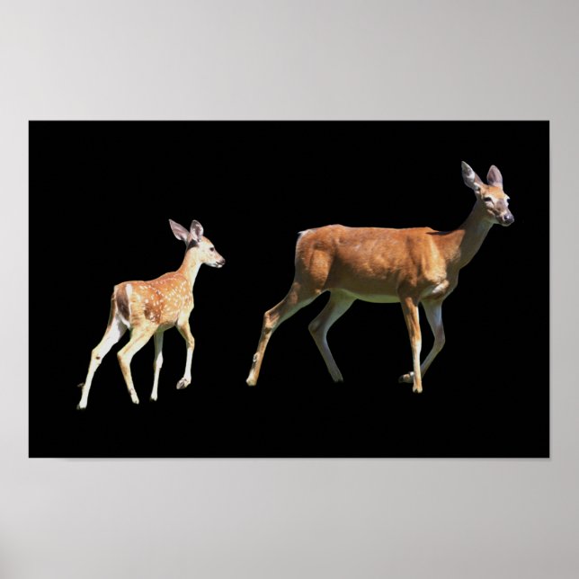 Deer Poster (Front)
