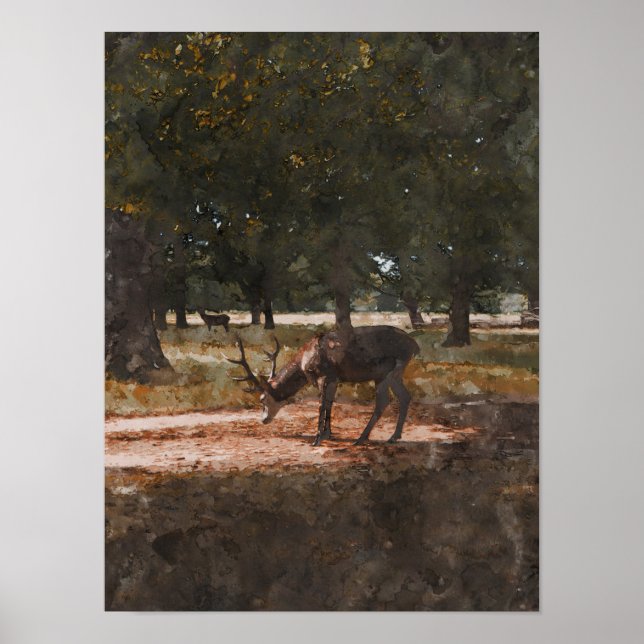 Deer Poster (Front)