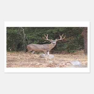Deer Rectangle Sticker