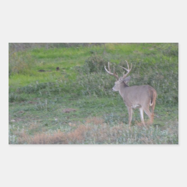deer rectangular sticker (Front)