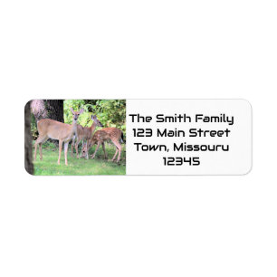 Deer Return Address Label