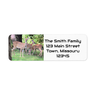 Deer Return Address Label