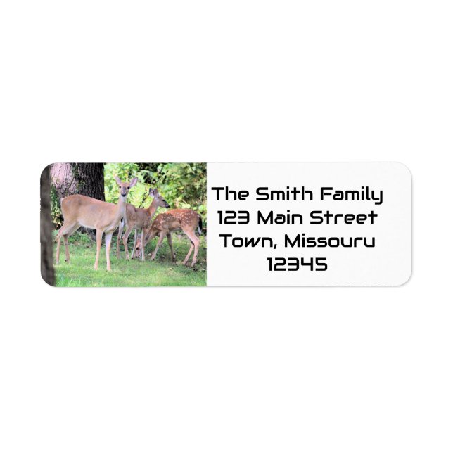 Deer Return Address Label (Front)