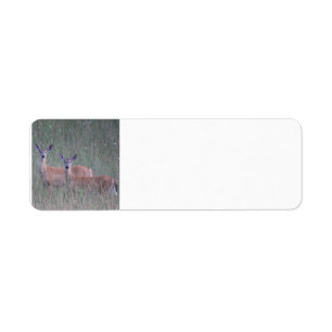 Deer Return Address Label