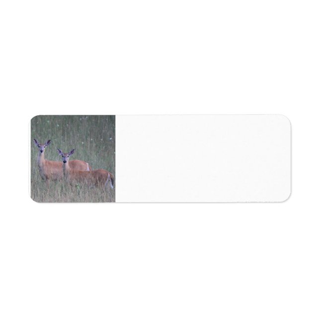 Deer Return Address Label (Front)